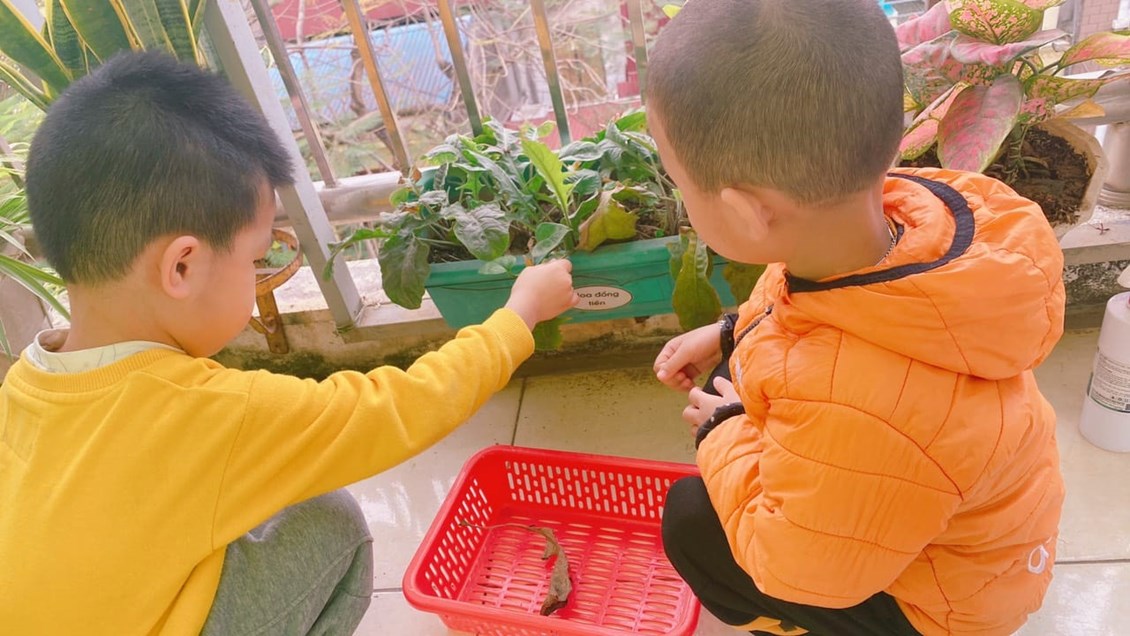 Nhấn vào ảnh để phóng to