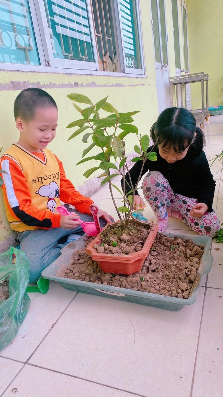 Nhấn vào ảnh để phóng to