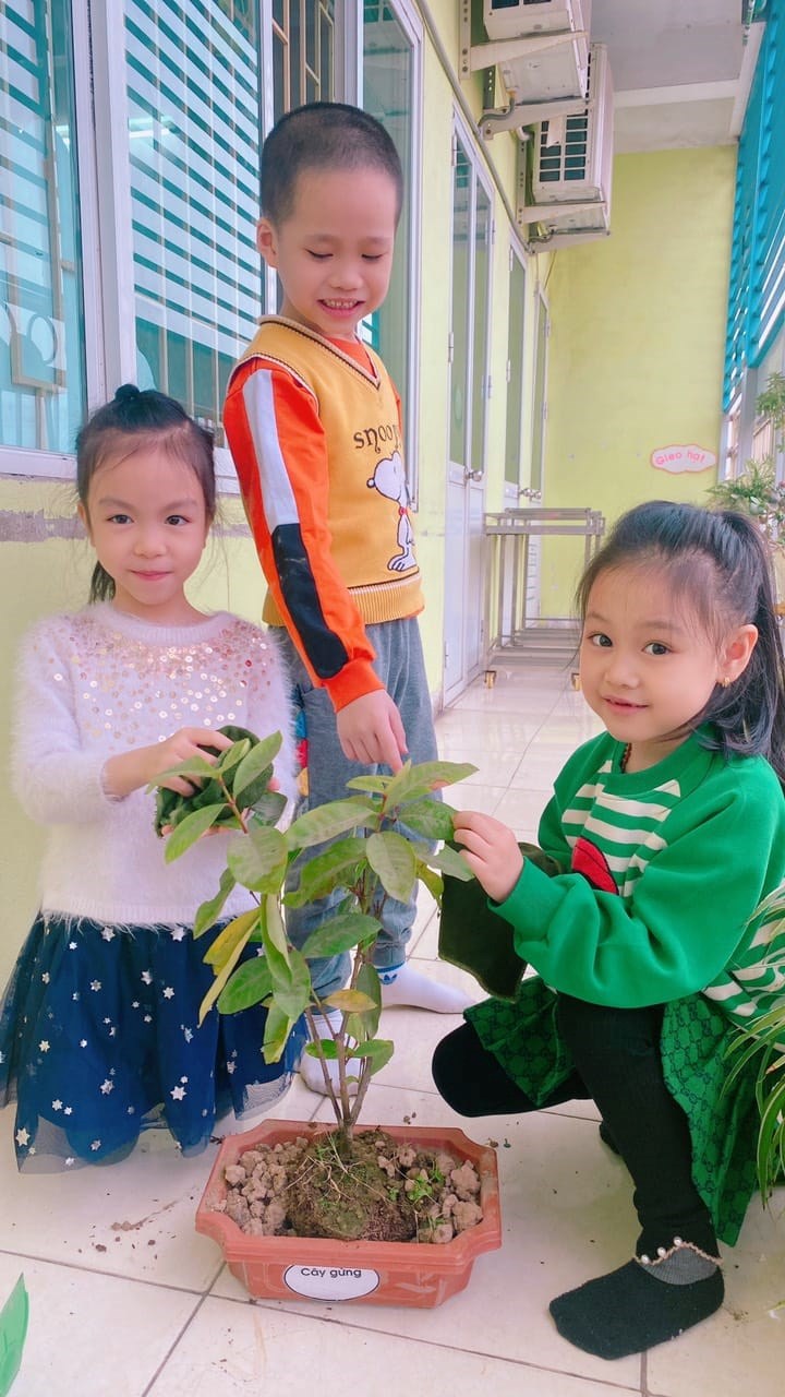 Nhấn vào ảnh để phóng to