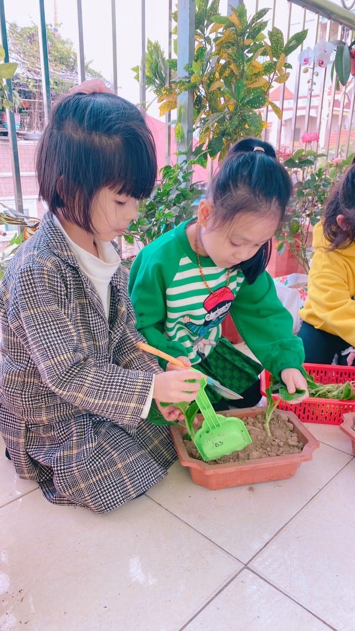 Nhấn vào ảnh để phóng to