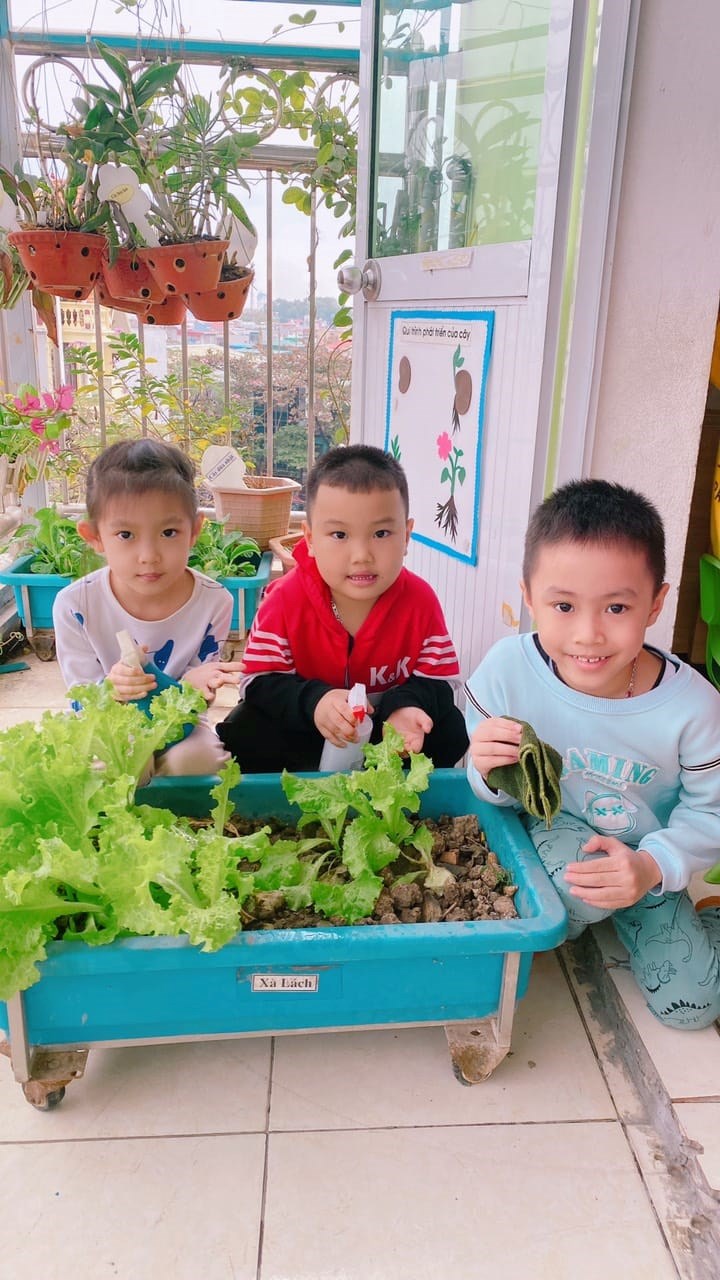 Nhấn vào ảnh để phóng to