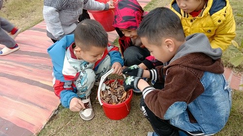 Nhấn vào ảnh để phóng to