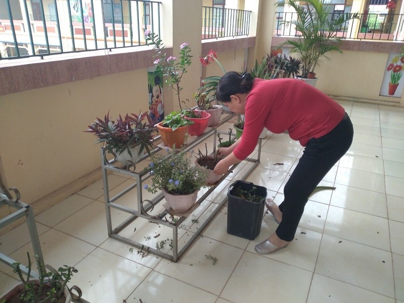 Nhấn vào ảnh để phóng to