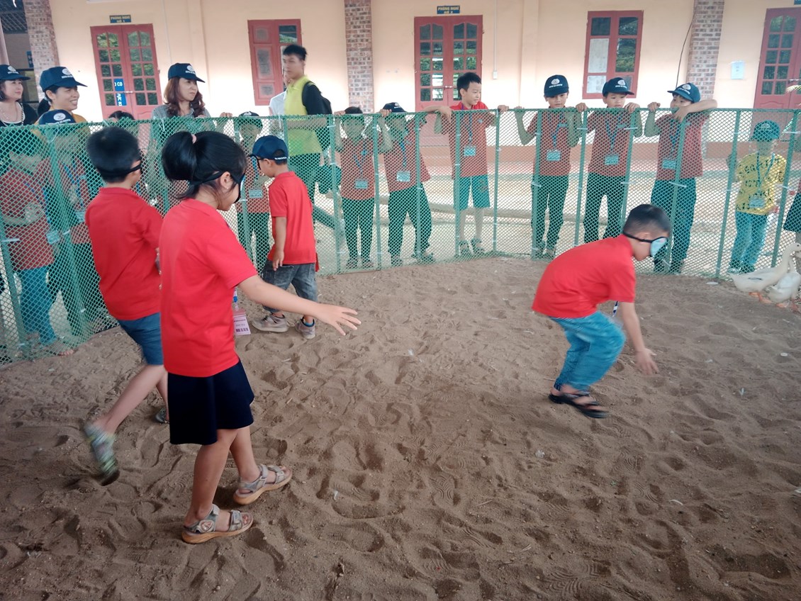 Nhấn vào ảnh để phóng to