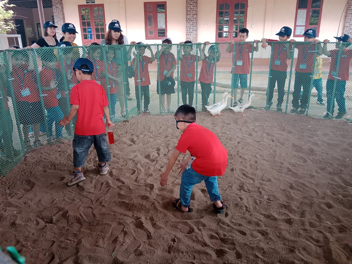 Nhấn vào ảnh để phóng to