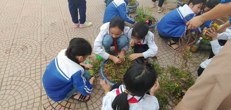 Nhấn vào ảnh để phóng to