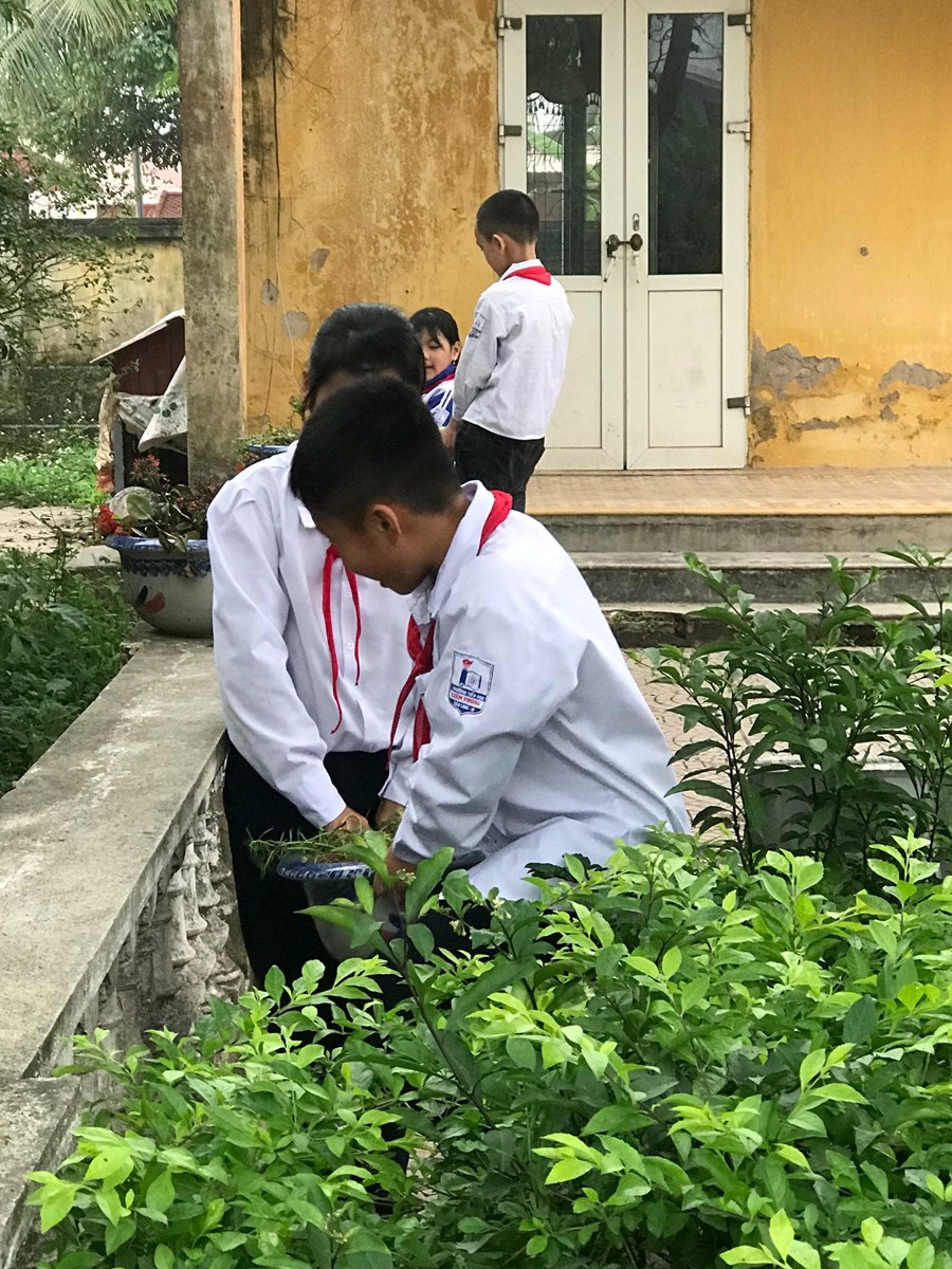 Nhấn vào ảnh để phóng to