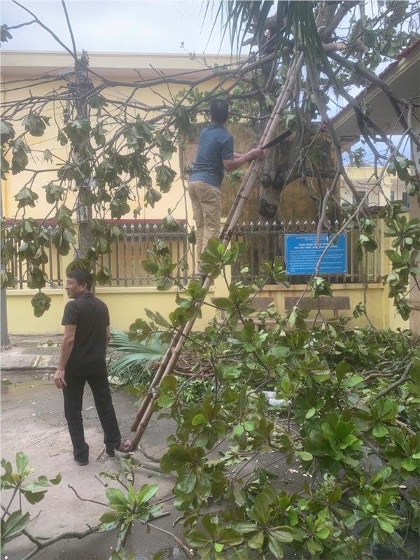 THCS Hải Thành khắc phục hậu quả sau bão