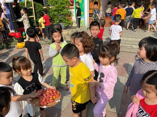 Hoạt động trải nghiệm thu hoạch nhót tại vườn trường