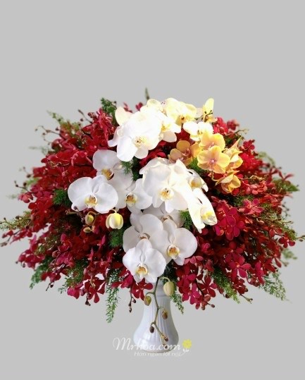 Chúc mừng ngày nhà giáo việt nam 20-11.