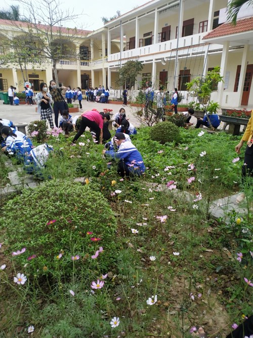 Trường THCS Quốc Tuấn hưởng ứng phong trào trồng cây xanh trong ngành Giáo Dục