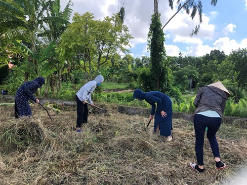 Ra quân quét dọn nghĩa trang liệt sỹ